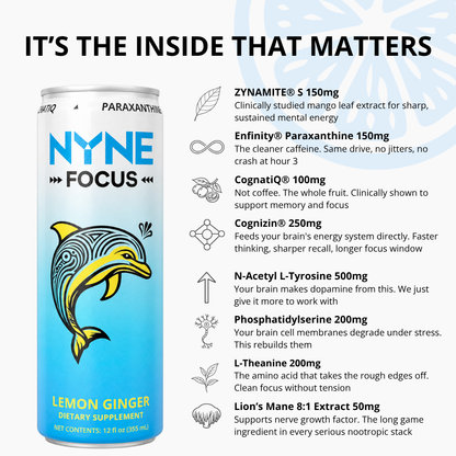 NYNE Focus Lemon Ginger - 12 Pack