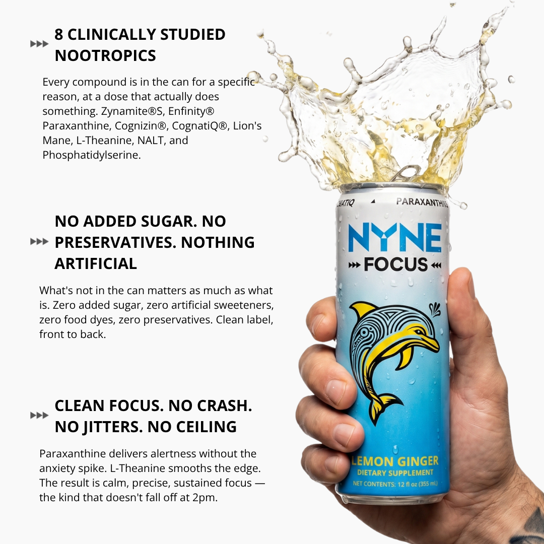 NYNE Focus Lemon Ginger - 12 Pack