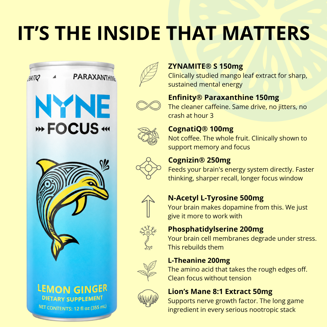 NYNE Focus Lemon Ginger - 12 Pack
